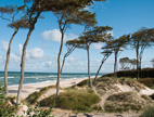 Weststrand